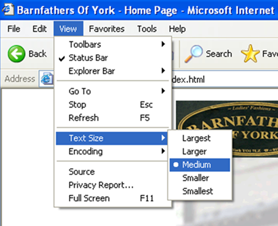 How To Set Varying Text Sizes Within Your Browser - Large Image