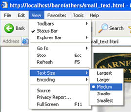 How To Set Varying Text Sizes Within Your Browser - Small Image